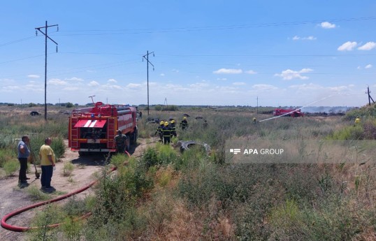 Hacıqabulda açıq ərazidə yanğın söndürülüb - FOTO  - YENİLƏNİB-1  - VİDEO 