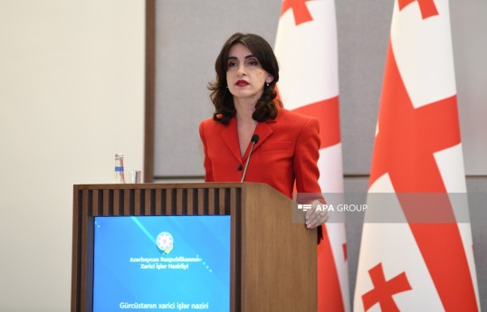 Gürcüstan Baş nazirinin müavini, xarici işlər naziri Maka Boçorişvili