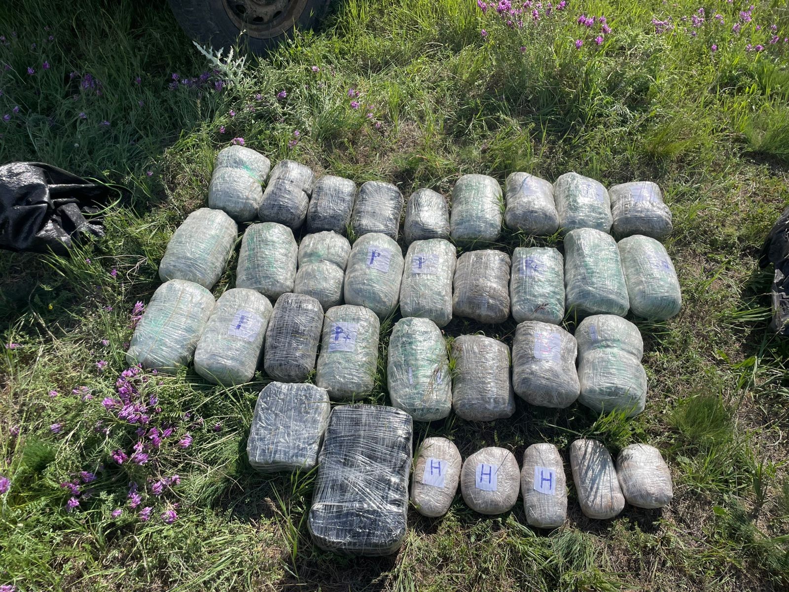 İrandan Azərbaycana külli miqdarda narkotik keçirilməsinin q