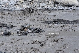 Qəbələdə selin Laza kəndinə gedən yola vurduğu ziyan aradan qaldırılır - FOTO 