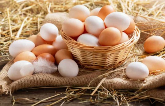 Azərbaycanda ilk dəfə damazlıq yumurta istehsalına görə subsidiya veriləcək