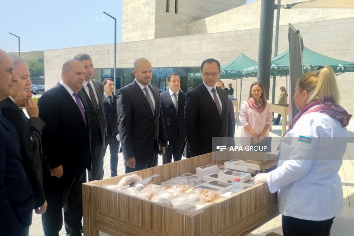 Aqrar sahədə Dövlət Proqramı çərçivəsində Zəngilanda müşavir