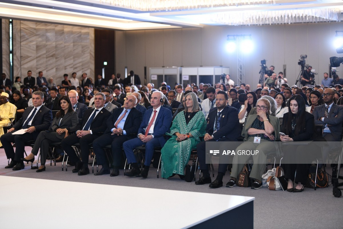 BMT-nin xüsusi elçisi: Yanlış risk qiymətləndirilməsi inkişaf etməkdə olan ölkələrdə borc yükünü artırır