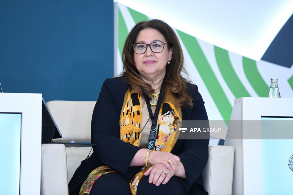 Dünya Bankının Yaxın Şərq, Şimali Afrika, Əfqanıstan və Pakistan üzrə Strategiya və Əməliyyatlar bölməsinin direktoru Bouseina Quermazi