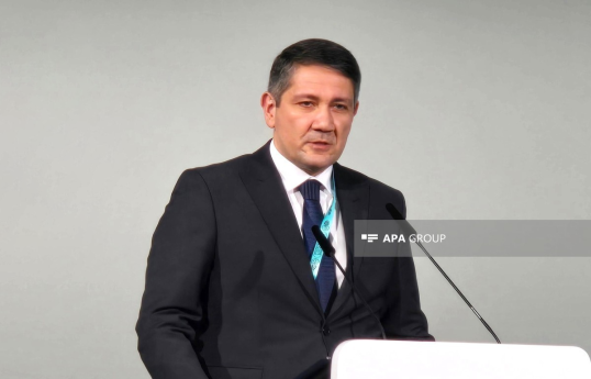 Maliyyə nazirinin birinci müavini Anar Kərimov