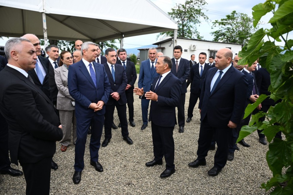 Xocalının Daşbulaq kəndində baramaçılığın inkişafı üçün yaradılmış infrastruktura baxış keçirilib