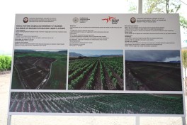 Xocalının Daşbulaq kəndində baramaçılığın inkişafı üçün yaradılmış infrastruktura baxış keçirilib