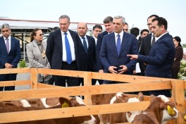 Əlaqələndirmə Qərargahının növbəti iclası Ağdərə şəhərində keçirilib - FOTO  - YENİLƏNİB 
