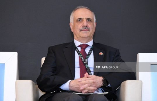 Türkiyə Xəzinə və Maliyyə nazirinin müavini Osman Çelik