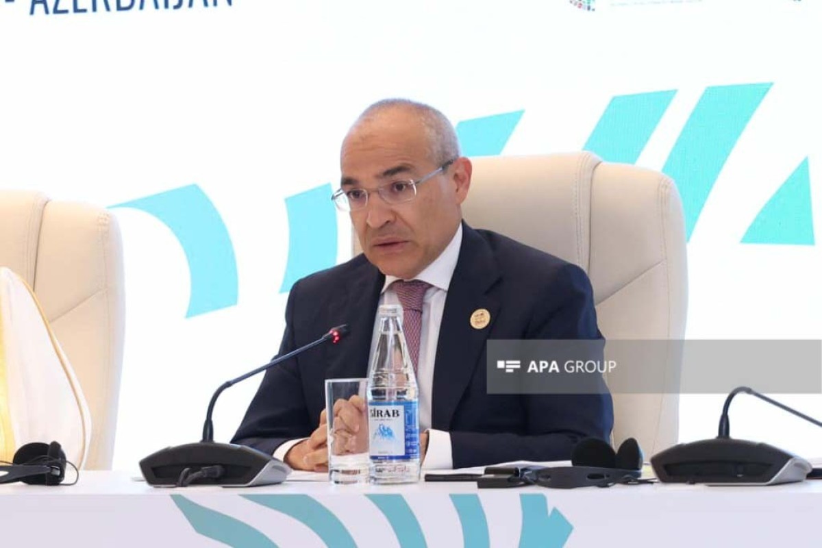 İqtisadiyyat naziri Mikayıl Cabbarov