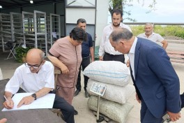 Xocalıda 34 ildən sonra ilk dəfə barama tədarük olunub - FOTO 