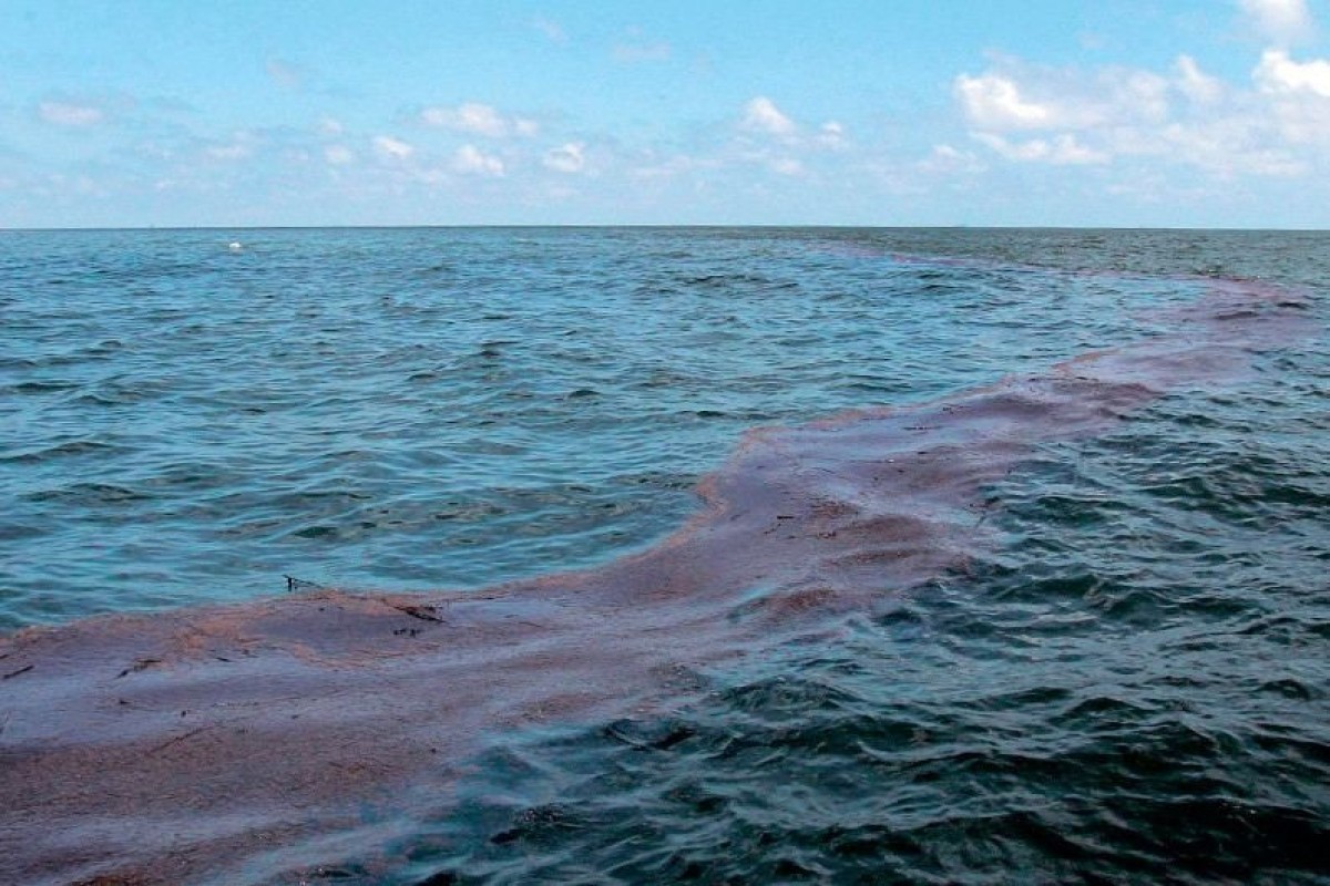 SOCAR: Damage to underwater pipeline caused oil pollution at Dubendi beach