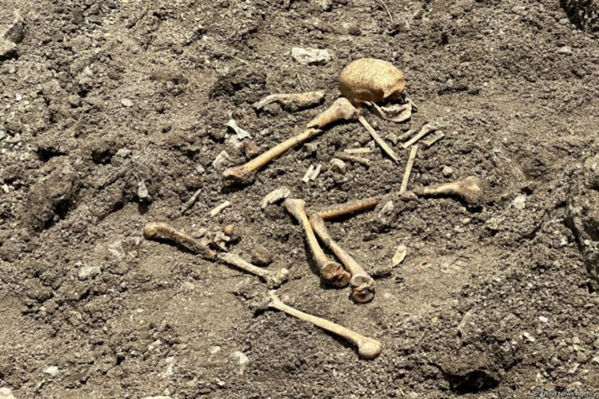 Ağdamda insan skeletinə bənzər qalıqlar aşkarlanıb