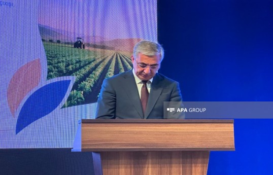 Naxçıvan MR kənd təsərrüfatı naziri Rafail Quliyev