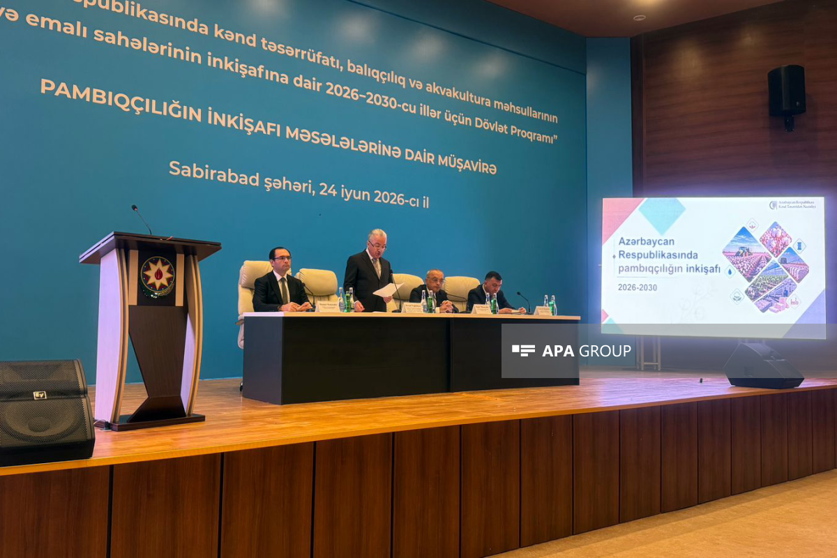 Prezidentin köməkçisi: Dövlət Proqramı üzrə investisiya qoyuluşunun məbləği təqribən 700 milyon manata yaxın olacaq