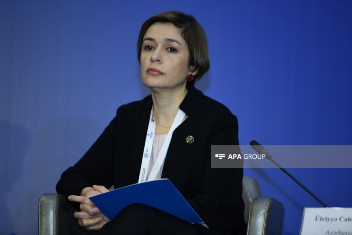 Chairperson of the Supervisory Board of the Azerbaijan Insurers Association Ulviyya Jabbarova