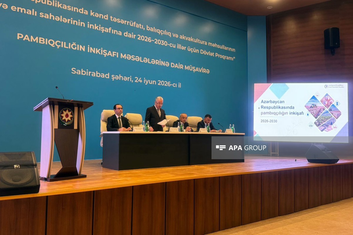 Prezidentin köməkçisi: Pambıqçılıqda 2030-cu ilədək əsas hədəf orta məhsuldarlığın 50 sentnerə çatdırılmasıdır