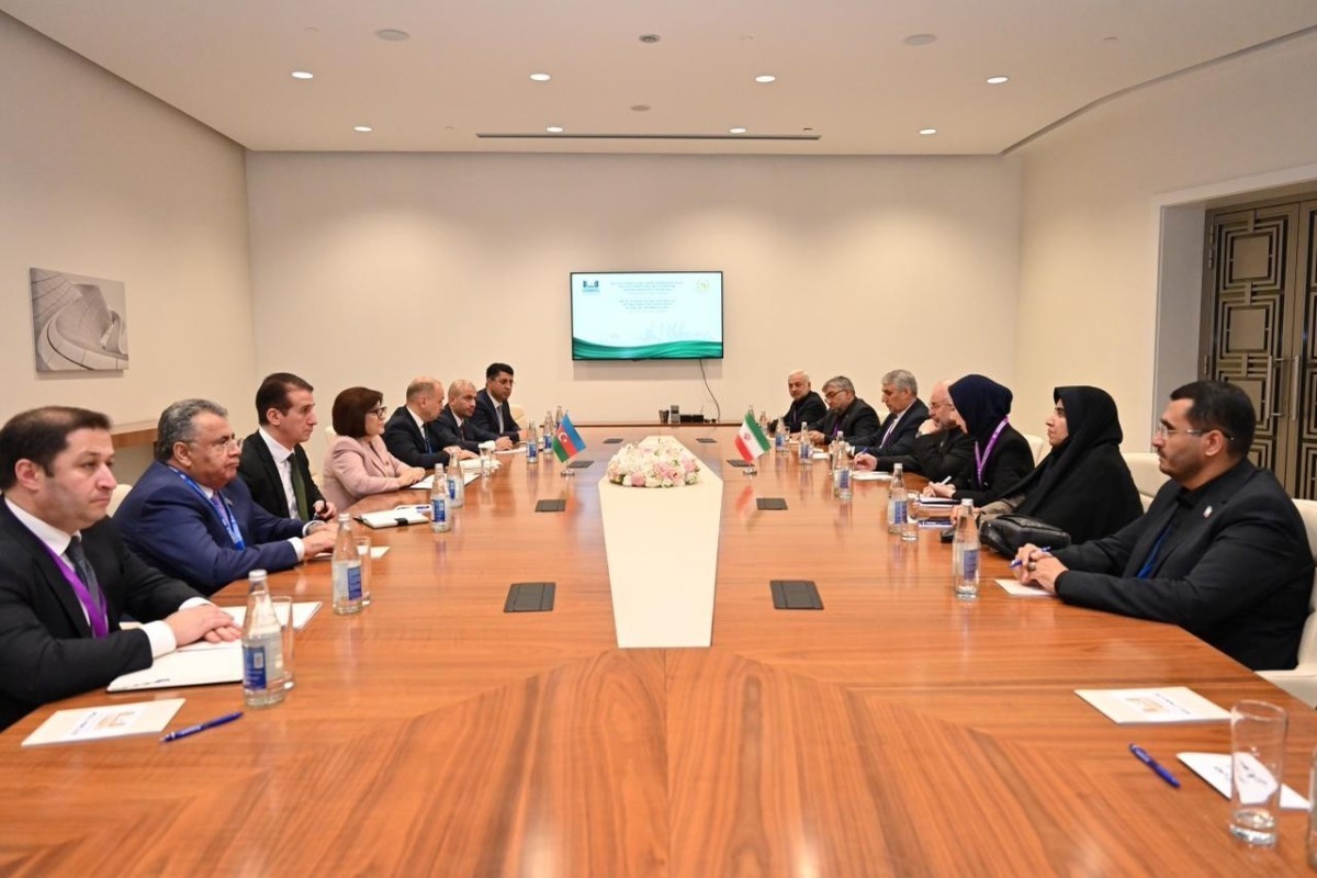 Sahiba Gafarova meets Speaker of Iran
