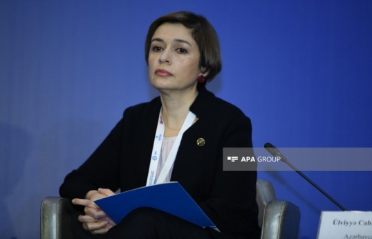 Azərbaycan Sığortaçılar Assosiasiyasının Müşahidə Şurasının sədri Ülviyyə Cabbarova