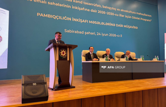 İcra başçısı: Dövlət proqramının icrası qeyri-neft sektorunun inkişafına ciddi töhfə verəcək