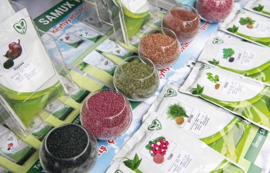 Toxumların ticarət dövriyyəsinə dair tələblər qoyulur