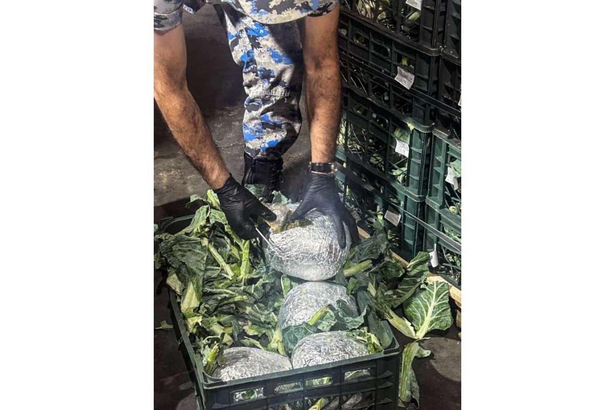 More than 90 kg of marijuana found in truck carrying cauliflower from Iran to Russia - <span class="red_color">PHOTO