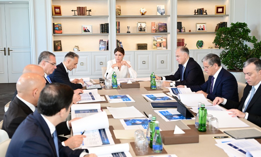 Birinci vitse-prezident Mehriban Əliyevanın sədrliyi ilə Rəqəmsal İnkişaf Şurasının ilk iclası keçirilib - FOTO 