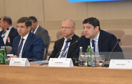 AMEA: İşğaldan azad edilmiş ərazilərdə kulturasid faktları sənədləşdirilib