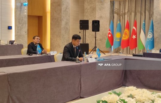 Qazaxıstanın mədəniyyət və informasiya nazirinin müavini Rüstəm Əli