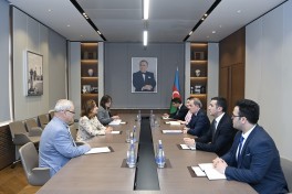 Ceyhun Bayramov ICMP-in baş direktoru Katrin Bomberger ilə görüşüb