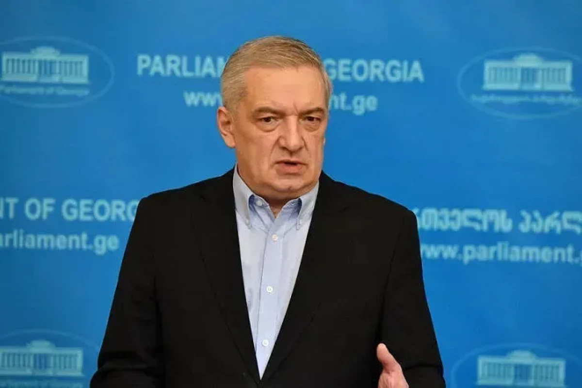 Gürcüstan parlamentinin birinci sədr müavini Gia Volski