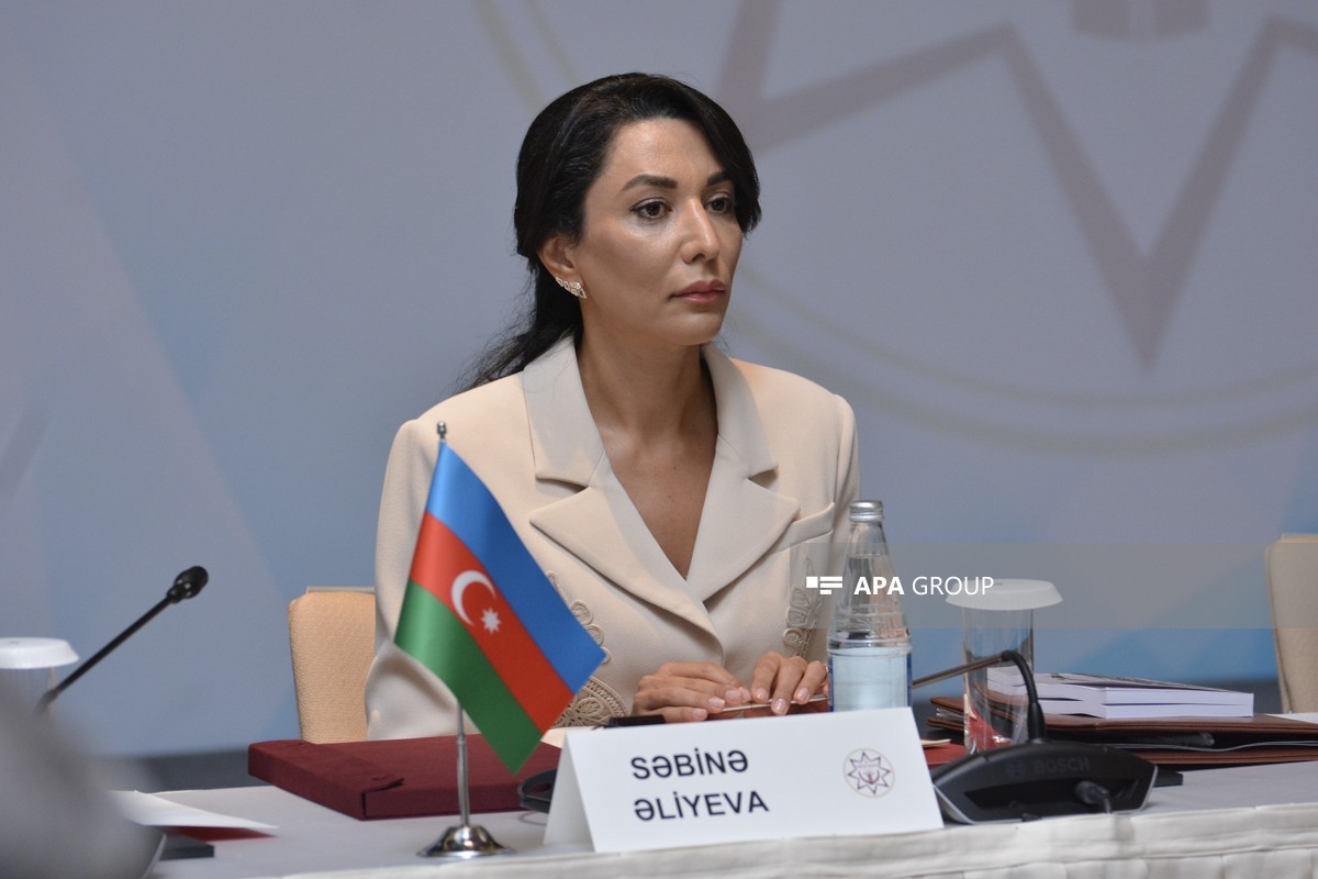 Səbinə Əliyeva, ombudsman