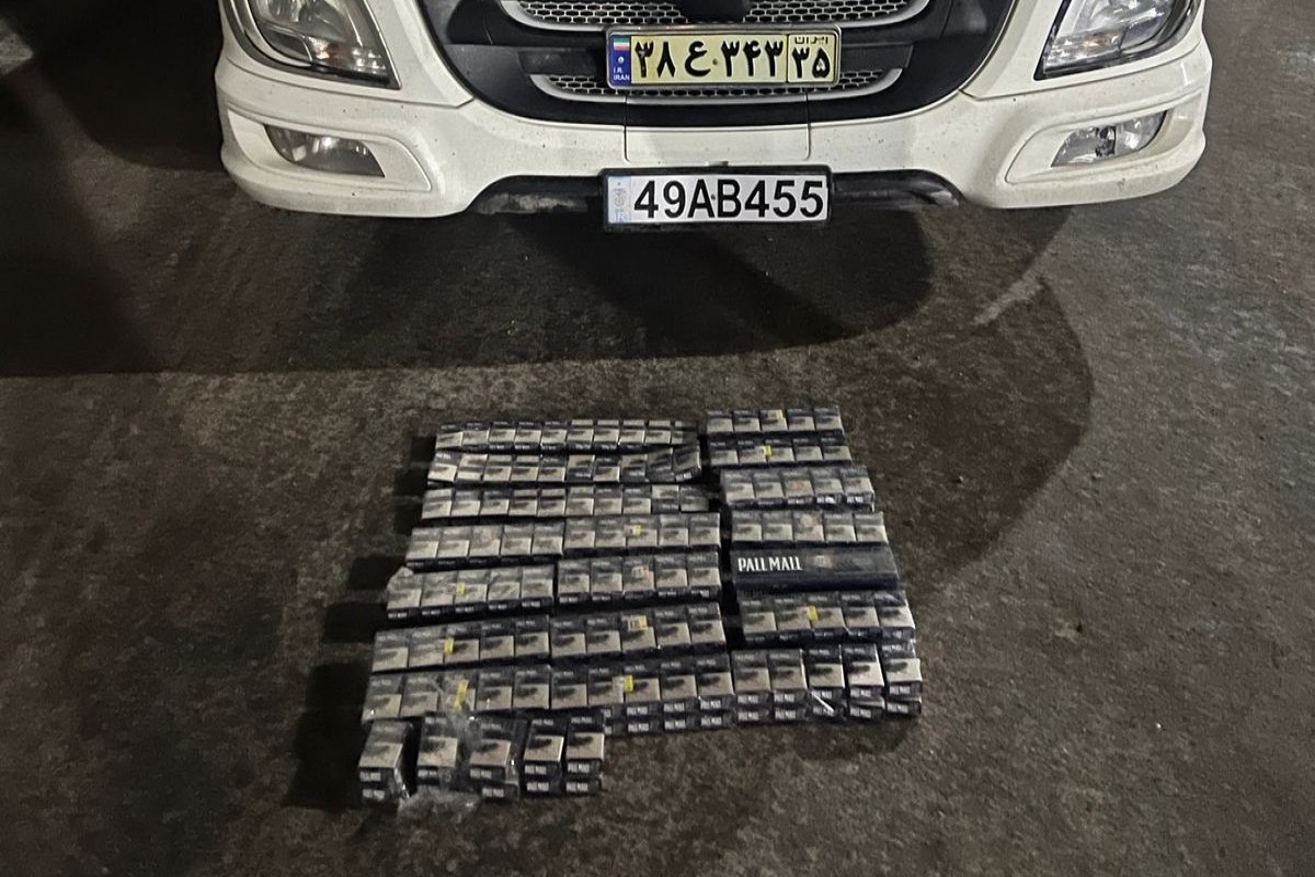 Fevralda dövlət sərhədində 10,9 milyon manatlıq qaçaqmal tutulub