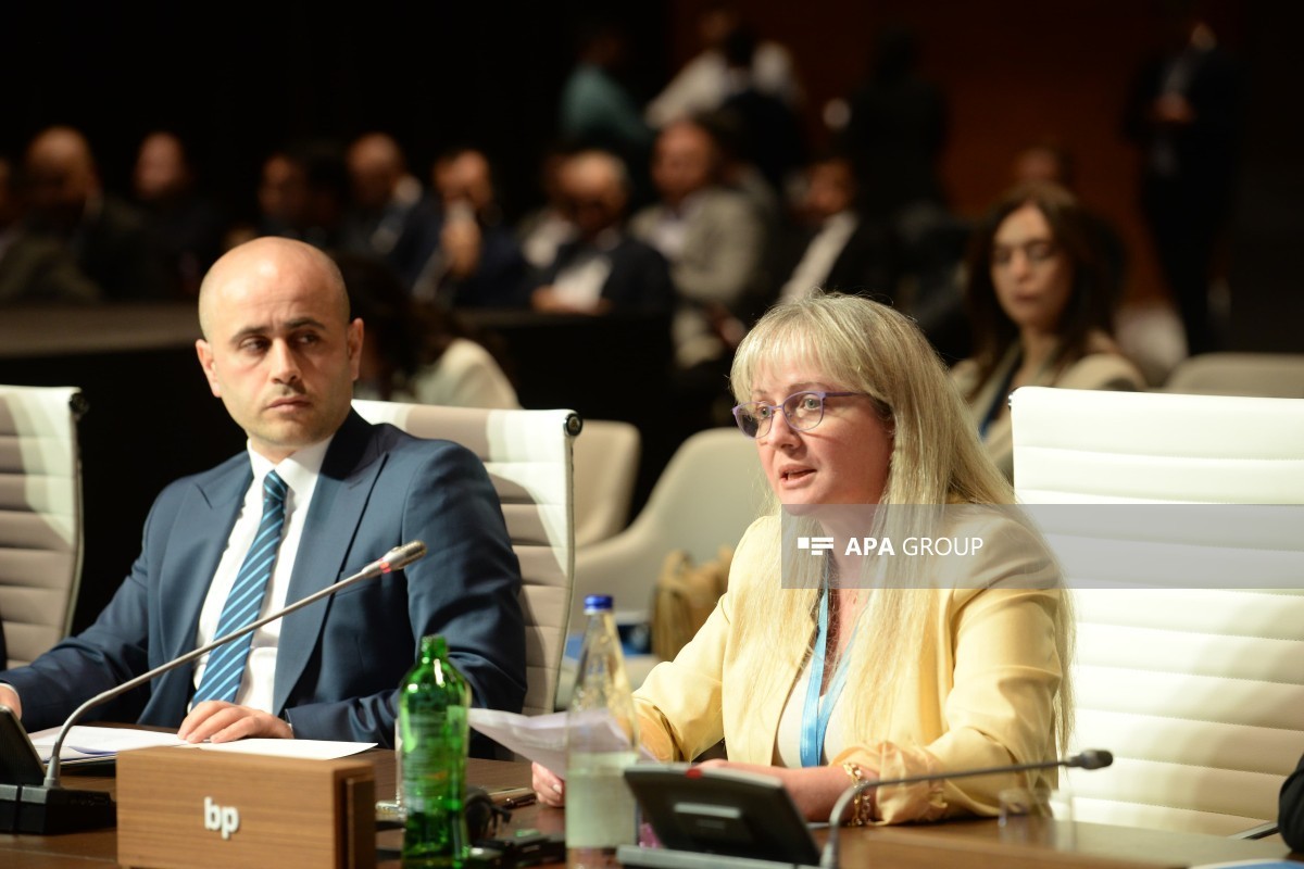 BP Azərbaycanda "yaşıl enerji" sahəsində planlarını açıqlayıb