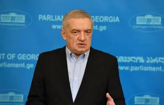 Gürcüstan parlamentinin birinci sədr müavini Gia Volski