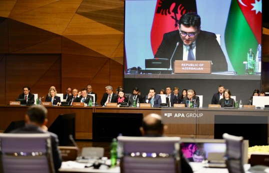 TAP: Kəmər infrastrukturundan istifadə edən daşıyıcıların sayı 3-dən 47-yə yüksəlib