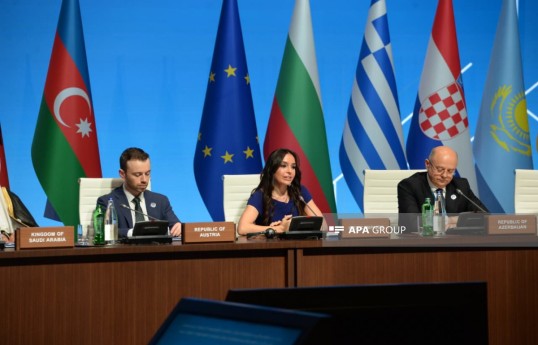Leyla Əliyeva: Əgər Xəzər çətin vəziyyətdədirsə, demək ki, dünya ekosistemi təhlükə altındadır