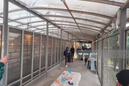 İtaliya səfirliyinin əməkdaşları və Çin vətəndaşları İrandan Azərbaycan sərhədi ilə təxliyə olunub - FOTO 
