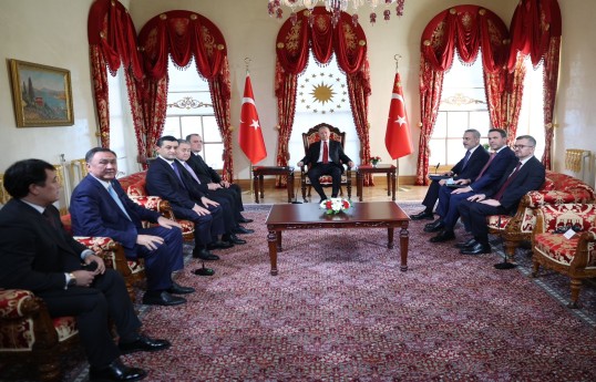 Ərdoğan və TDT XİN rəhbərləri arasında müzakirə olunan mövzular açıqlanıb - YENİLƏNİB 