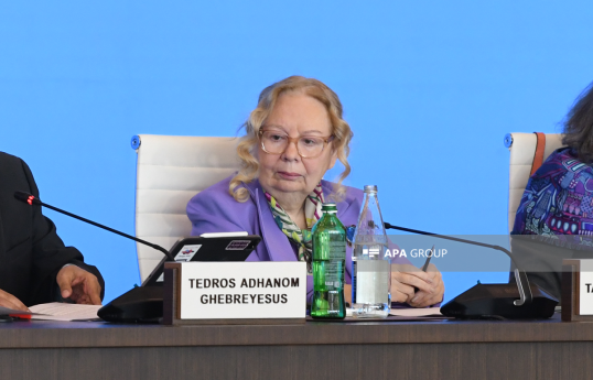 BMT-nin Cenevrədəki ofisinin baş direktoru Tatyana Valovaya