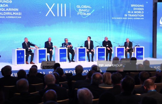 XIII Bakı Qlobal Forumu çərçivəsində panel müzakirə keçirilib - FOTO 