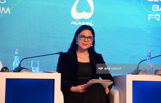 2018-2019-cu illərdə Rumıniyanın Baş nazirinin müavini, ədliyyə naziri, Nizami Gəncəvi Beynəlxalq Mərkəzinin üzvü Ana Birçal