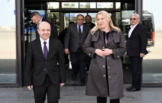 Jelka Tsviyanoviçin Azərbaycana səfəri başa çatıb