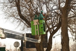 Bakıda genişmiqyaslı təmizlik işləri aparılıb, küçələr yuyulub - FOTO 
