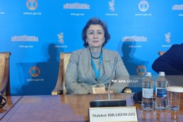 Milli Məclisinin deputatı və TÜRKPA-nın Hüquq məsələləri və beynəlxalq əlaqələr komissiyasının üzvü Məlahət İbrahimqızı