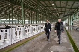 Prezident “Şirvan Aqro” heyvandarlıq kompleksinin açılışında iştirak edib