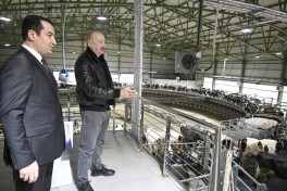 Prezident “Şirvan Aqro” heyvandarlıq kompleksinin açılışında iştirak edib