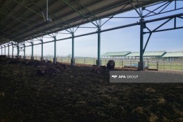 “Şirvan Aqro” heyvandarlıq kompleksinə media-tur təşkil olunub - FOTO 