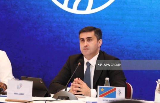 Bakı Təşəbbüs Qrupunun icraçı direktoru Abbas Abbasov