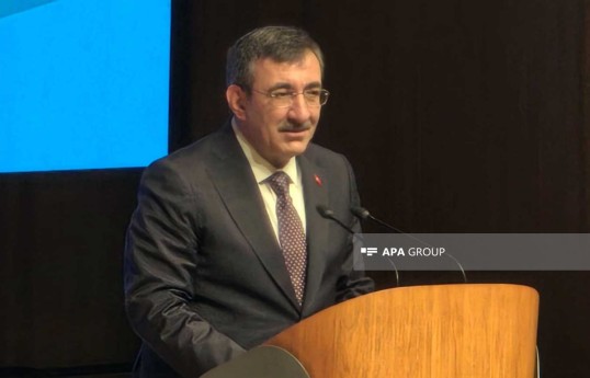 Türkiyənin vitse-prezidenti Cevdet Yılmaz